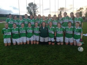 The Harps Ladies team who won the Division Two League Final last Saturday
