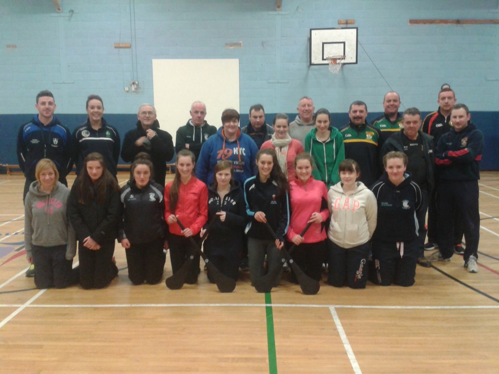 hurling camogie course