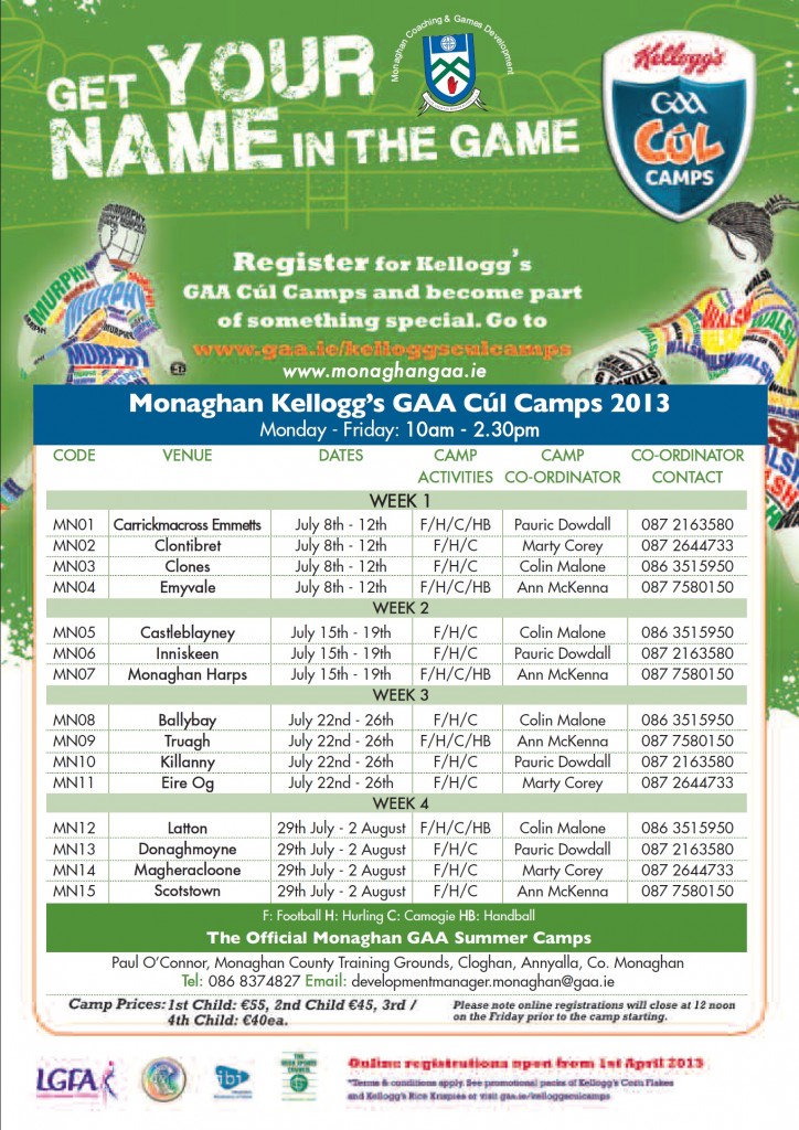 Cul Camp Flier 2013