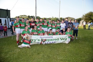 Inniskeen-Under 16 Div III Champions 2013