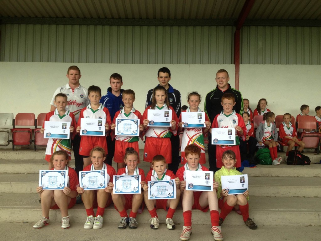 Donaghmoyne 2