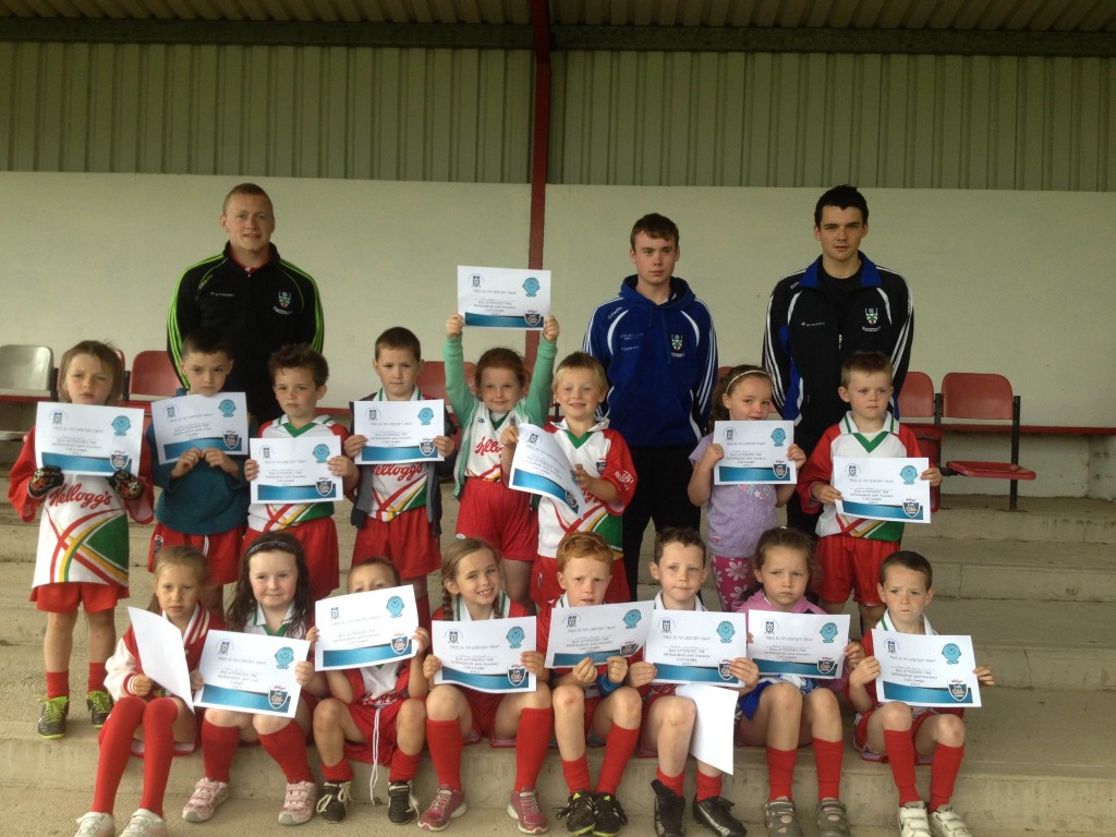 Donaghmoyne 3