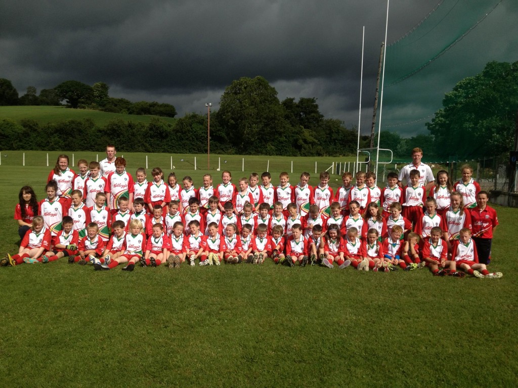 Donaghmoyne