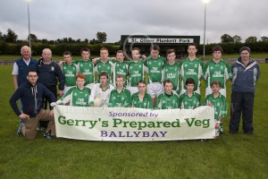 Cremartin Shamrocks - Under 16 Div 2 Finalists 2013