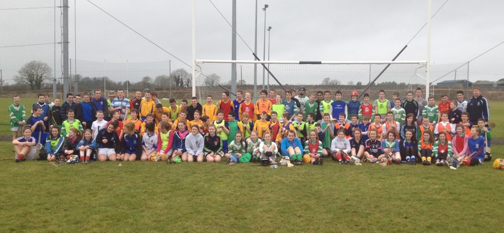 Secondary School Hurling_Camogie Nov