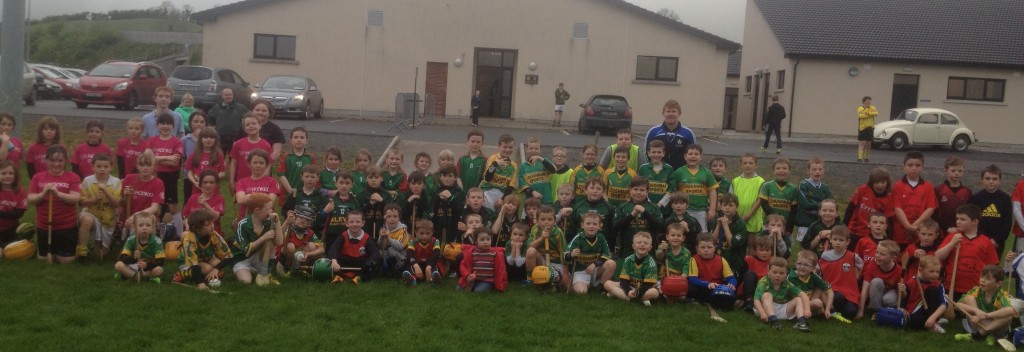 Club Hurling Go Games IMG_3250