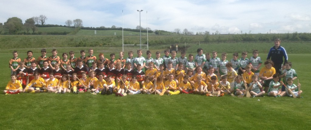 Primary School Hurling Blitz
