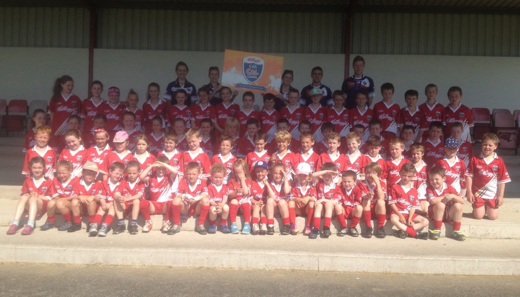 Donaghmoyne Group