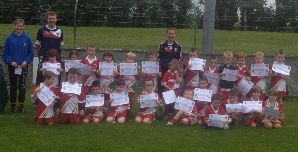 Carrickmacross Nursery Group