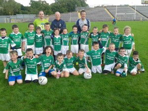 Cremartin U8