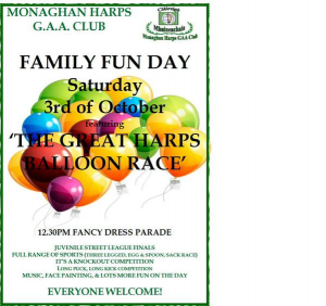 Harps Fun Day 2015