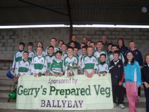 Harps Under-12 hurlers